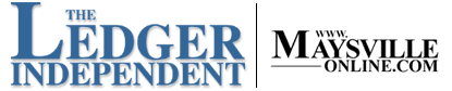 ledgerinlogo02